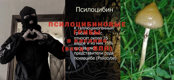 а пвп мука Беломорск