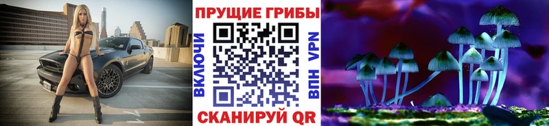 Псилоцибиновые грибы MAGIC MUSHROOMS  Шацк 